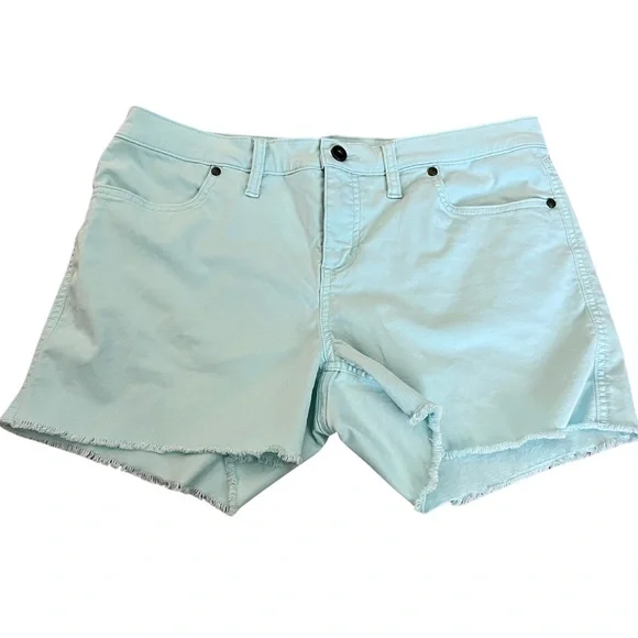 CARVE DESIGNS Shorts blue light weight size 10 - Picture 1 of 5